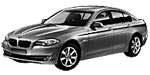 BMW F10 U1259 Fault Code